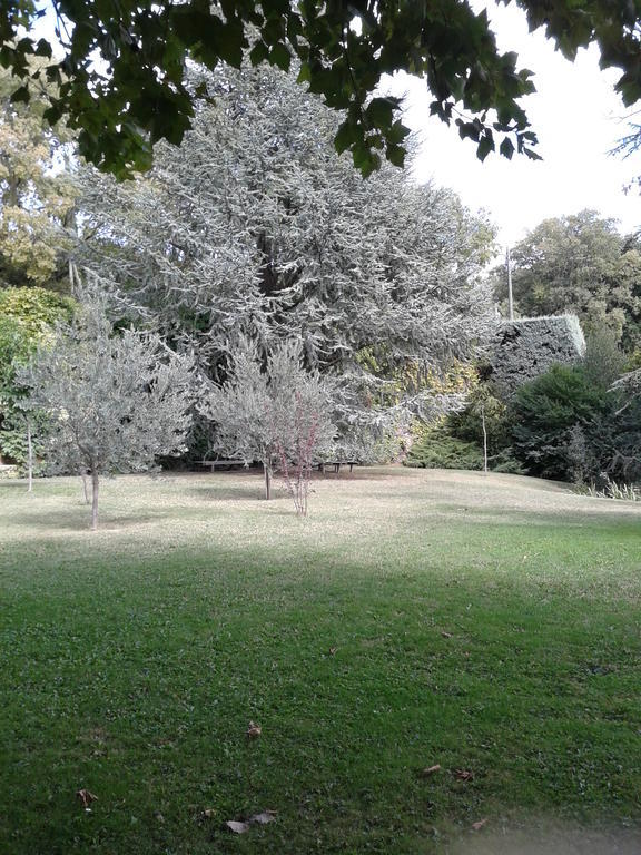 Le Chateau Des Estubiers Bed & Breakfast Serignan-du-Comtat ภายนอก รูปภาพ